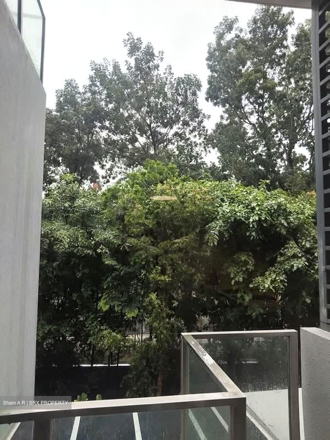 Robin Residences (D10), Condominium #605382091